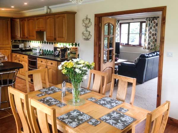 Llety'R Bugail Villa Dolgellau Ngoại thất bức ảnh